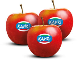 Mele Nicoter Kanzi
