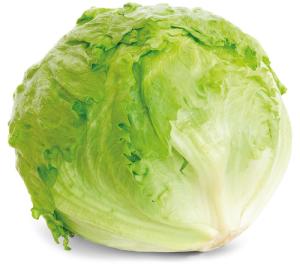 Lattuga iceberg