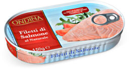 Filetti di salmone al naturale