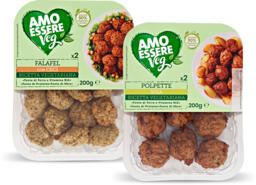 Polpette soia / Falafel con ceci
