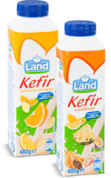 Kefir alla frutta vari gusti