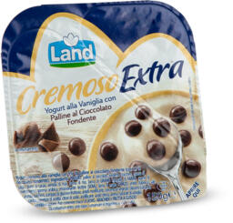Yogurt alla vaniglia con palline al cioccolato fondente