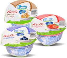 Kefir alla frutta vari gusti