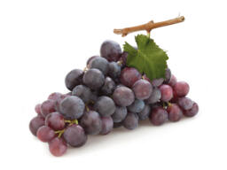 Uva nera palieri