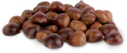 Castagne