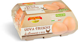 Uova fresche grandi da allevamento a terra 6 pezzi
