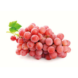 Uva red globe