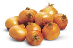 Cipolla dorata