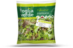 Insalata misticanza