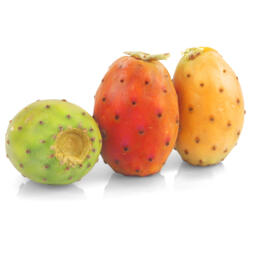 Fichi d'india